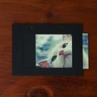 4x6 Phote Frame Style 2-Ring Binder Refill, Double Sided, Black, 7Sheets