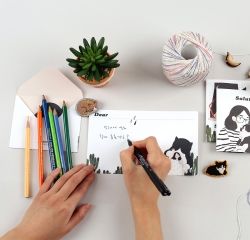 Card set-06 Salut (Sotoon)