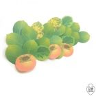 Gipbmm Persimmon-sticky Note