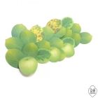 Gipbmm Green Apple-sticky Note 