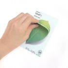 Gipbmm Leaf_B-sticky note