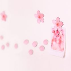 Leaf Magnet_Cherry Blossom