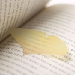 Sticky Leaf_Tracing Ginkgo(Yellow,S)