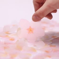 StickyLeaf_T-Cherry Blossom_White_S