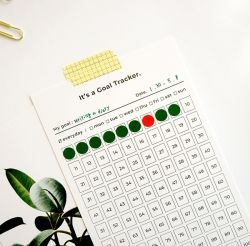 Goal Tracker - 100days