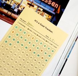 Goal Tracker - 100days