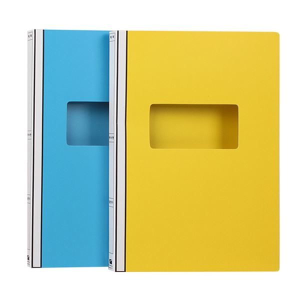 Paper Lever Government Files [HE5277]