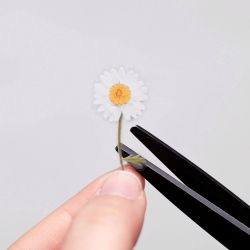 Press Flower Sticker_Marguerite