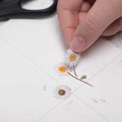 Press Flower Sticker_Marguerite