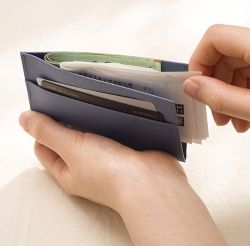 Palm Wallet Thin, 110x77mm
