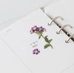 Press Flower Stickers_Verbena