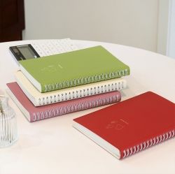 The temperature of the day Cash Book