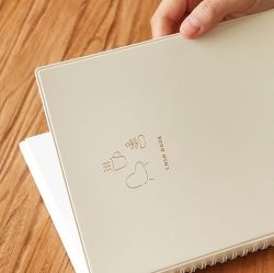 The temperature of the day Cash Book