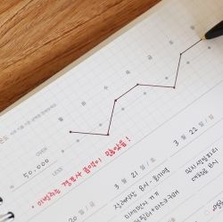 The temperature of the day Cash Book