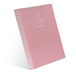 The temperature of the day Cash Book