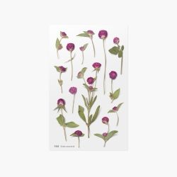Press Flower Stickers_Globe amaranth