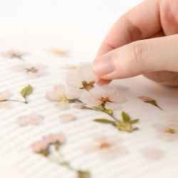 Press Flower Stickers_Cherry blossom