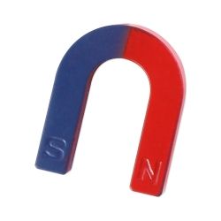 Educational Horseshoe Magnet (L)