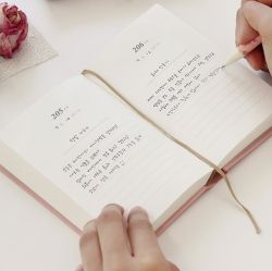 Anne of Green Gables One Sentence Diary 365-Days