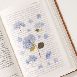 Press Flower Stickers_Bigleaf hydrangea