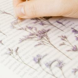 Press Flower Stickers_Misty blue