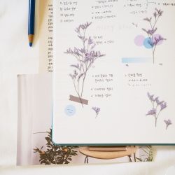 Press Flower Stickers_Misty blue