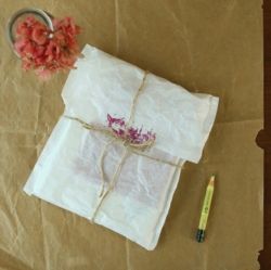 Frosted Envelope L, 20 Sheets