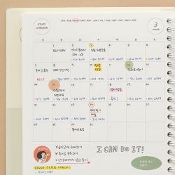 Study checker (6 months)