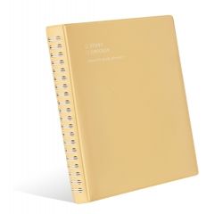 Study checker (6 months)