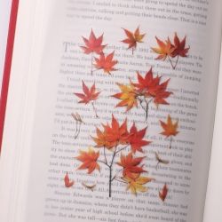 Press Flower Stickers_Palmate maple