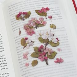 Press Flower Stickers_Apple blossom