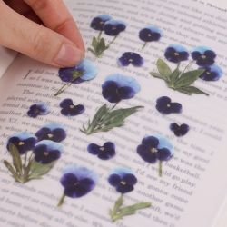 Press Flower Stickers_Pansy