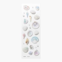 Nature Stickers_Seashell