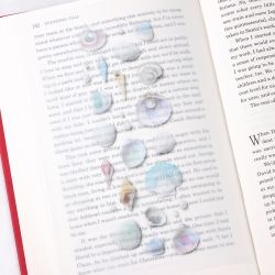 Nature Stickers_Seashell