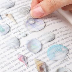 Nature Stickers_Seashell