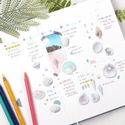 Nature Stickers_Seashell