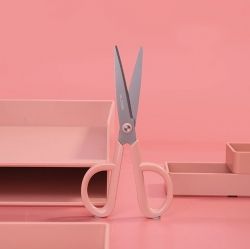 NUSIGN Scissors 