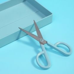NUSIGN Scissors 
