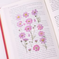 Press Flower Stickers_Cosmos