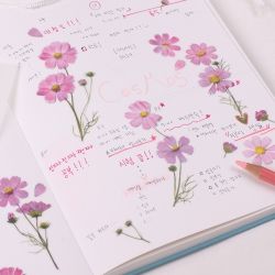 Press Flower Stickers_Cosmos