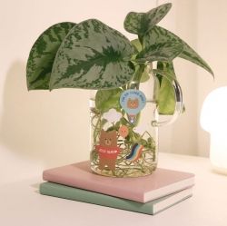 GGU GGU Sticker ver.5, 6Type Set 