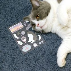 GGU GGU Sticker ver.5, 6Type Set 