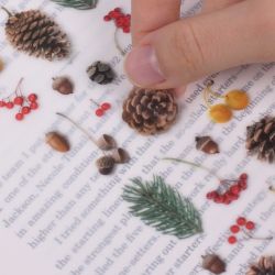 Nature Stickers_Pine road