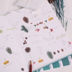 Nature Stickers_Pine road