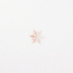 Nature Stickers_Snow