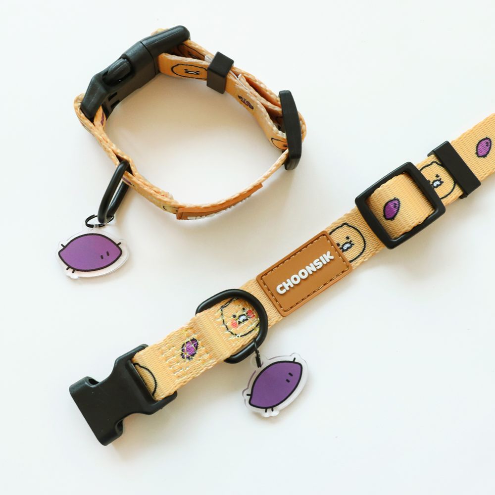CHOONSIK Dog Collar 
