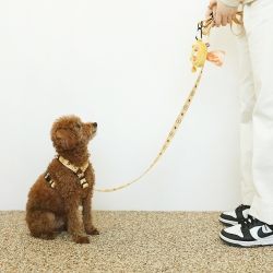 CHOONSIK H Type Harness 