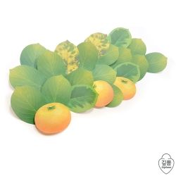 Gipbmm Tangerine-Sticky Note 