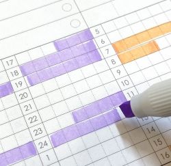 THE MEMO Wide Study Planner, 6Months 