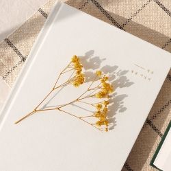 Reading Journal for Book Review, Walking Through the Forest of Literature